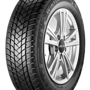 Premium Anvelopa Iarna 185/70R14 88T Gt radial Winterpro2