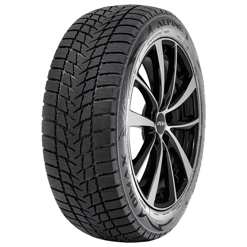Cumpărături sigure Anvelopa Iarna 205/55R17 95V RADAR Dimax Alpine-XL