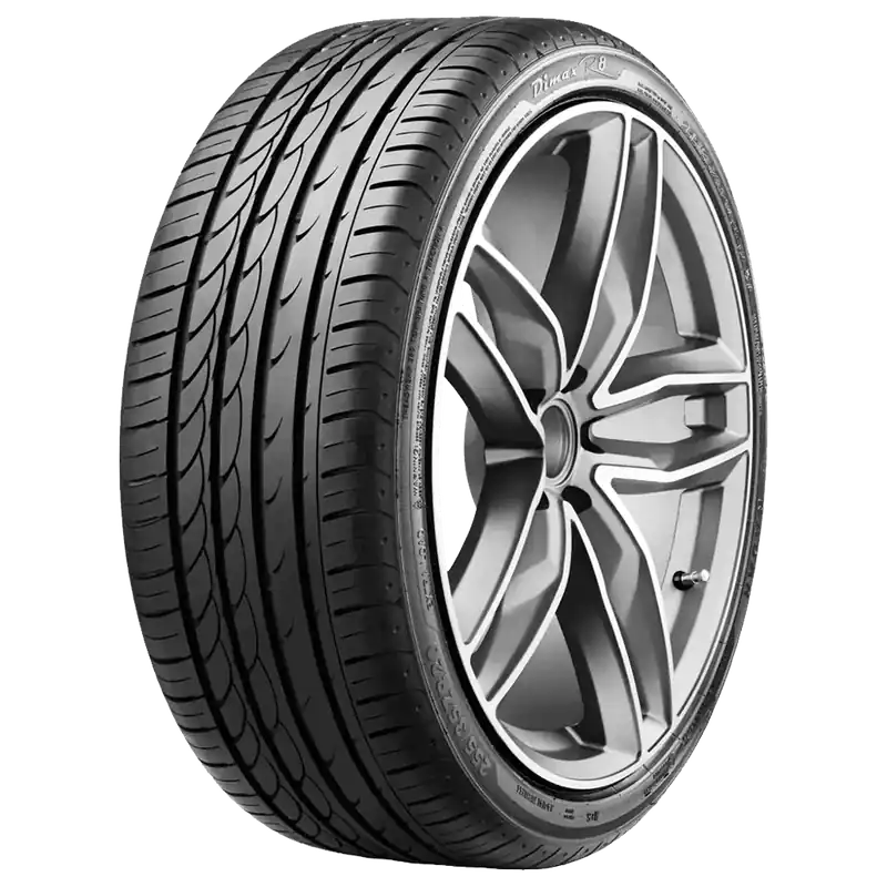 Chilipir Anvelopa Vara 205/50R17 93Y RADAR DIMAX R8-XL