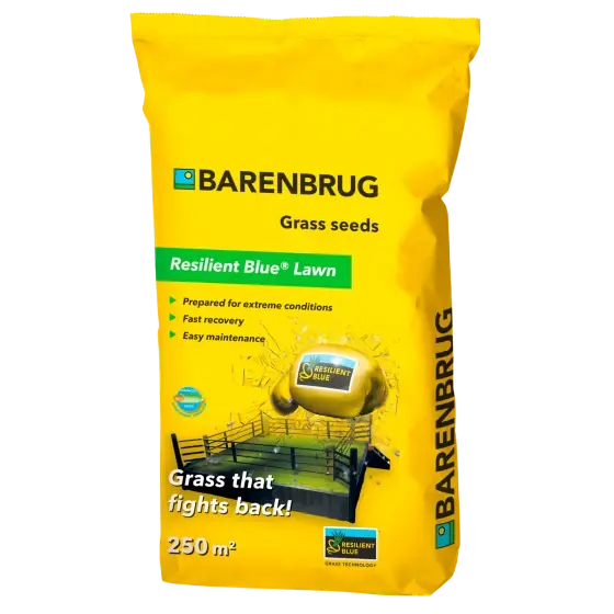Seminte gazon Barenbrug Resilient Blue Lawn, 5 kg Premium