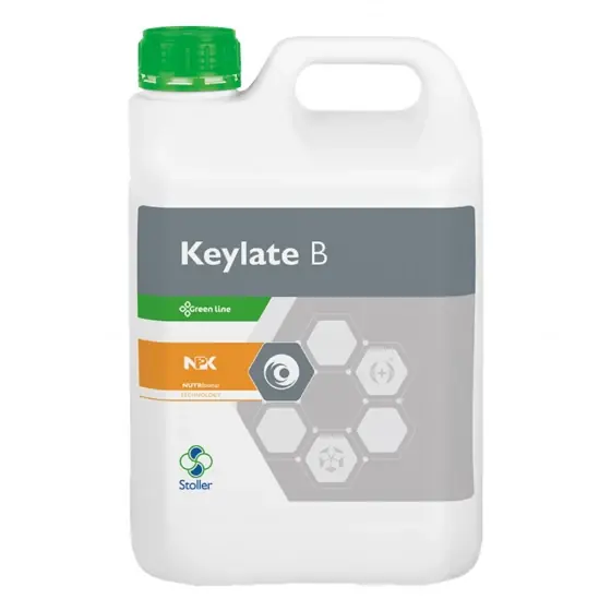 Popular Ingrasamant foliar pentru prevenirea dar si corectarea carentelor nutritionale pe baza de Bor, Keylate B, 5 l