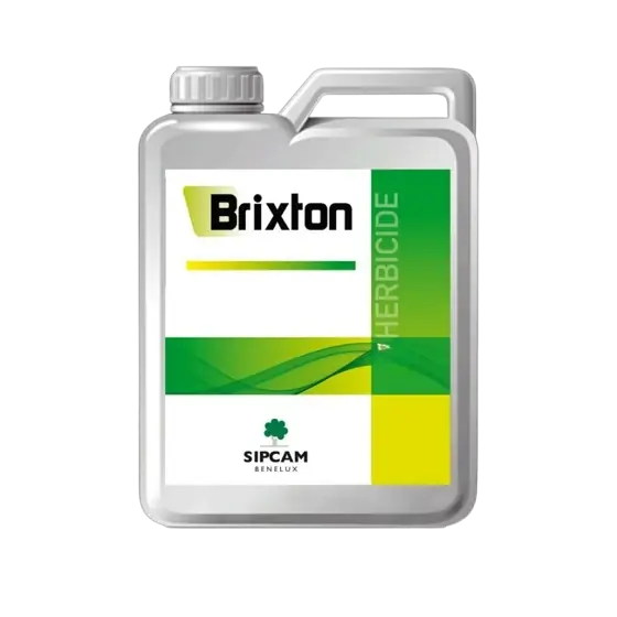 Erbicid sistemic postemergent destinat combaterii buruienilor monocotiledonate anuale si perene din culturile de rapita, floarea soarelui, sfecla de zahar si soia, Brixton, 1 l Disponibil imediat