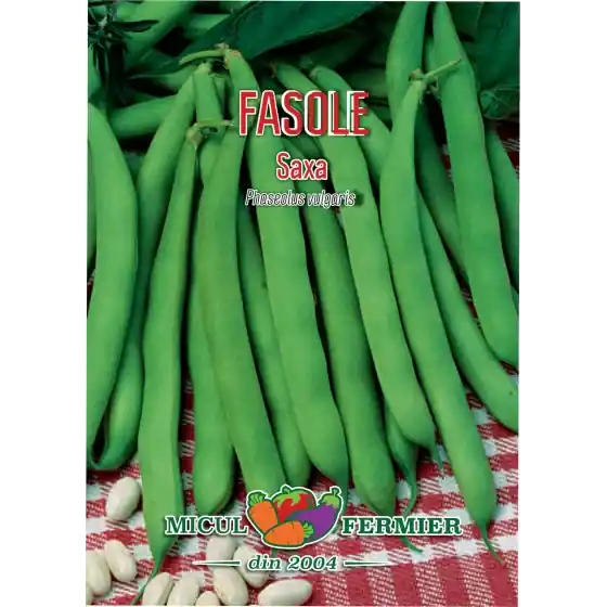 Noutate Seminte de fasole fideluta verde Saxa, 20 grame, SemPlus