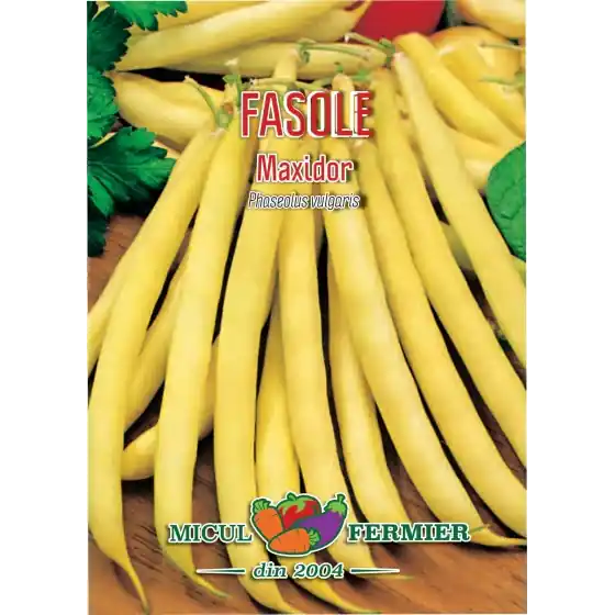 Seminte de fasole fideluta galbena Maxidor, 30 grame, SemPlus Livrare rapidă