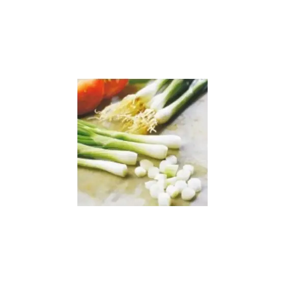Seminte de ceapa pentru ceapa verde White Lisbon, 25 grame, Pieterpikzonen Cumpărături sigure