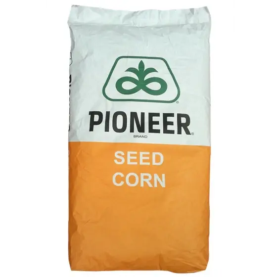 Samanta Porumb PIONEER P9889, FAO 350, LumiGEN, Optimum AQUAmax, sac 80.000 boabe Cel mai vândut
