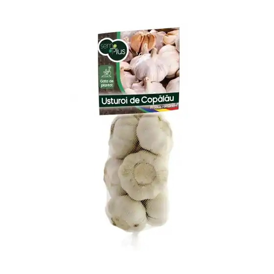 Cumpărături sigure Usturoi de toamna, rosu, romanesc de Copalau pentru plantat si consum, 0,5 Kg, SemPlus