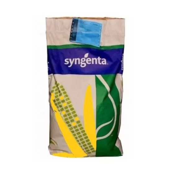 Seminte Porumb SY PREMEO FAO 380, sac 50 000 Chilipir