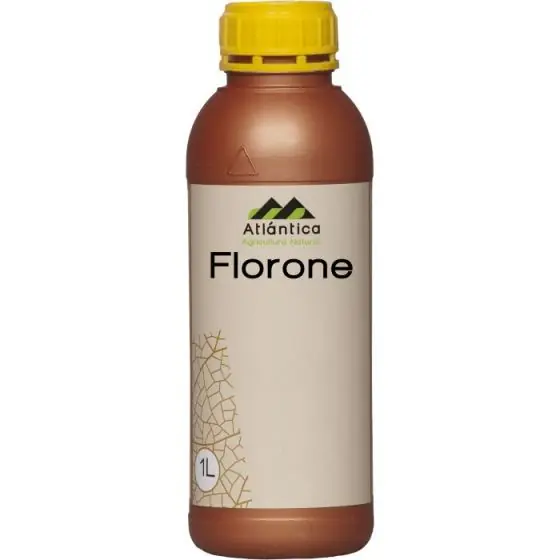 Preț redus Florone, 1 L