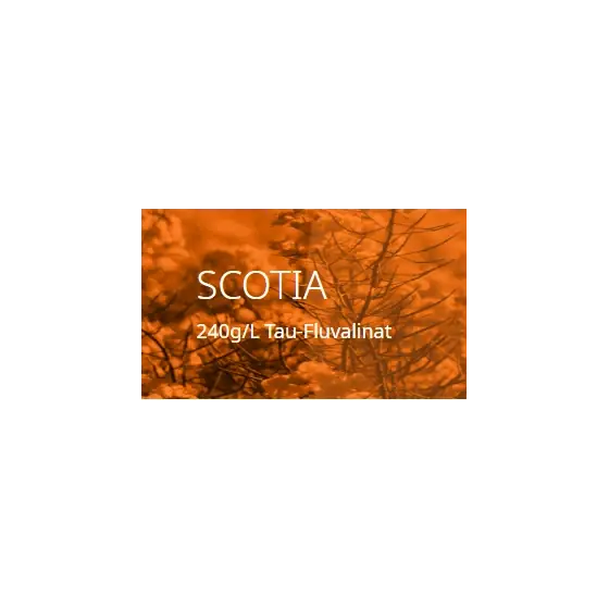 Preț promoțional Insecticid Scotia, 1 l, UPL, piretroid, tau-fluvalinat