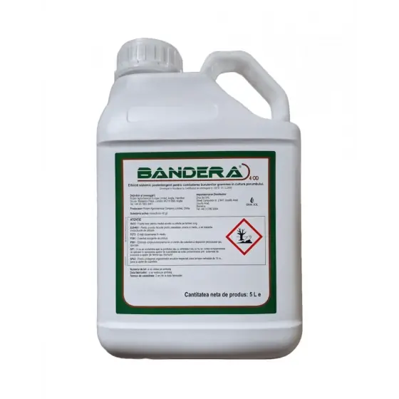 Chilipir Erbicid selectiv Bandera 4 OD, 5 l, Rotam, Nicosulfuron, Porumb
