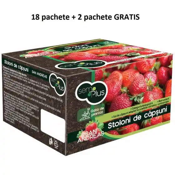 Preț mic Pachet promotional Stoloni de capsuni remontant San Andreas, categoria biologica A, 50 bucati, SemPlus, 18 pachete + 2 pachete GRATIS