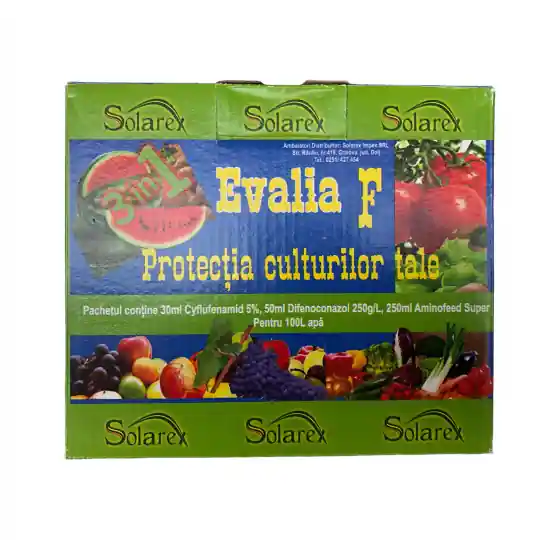 Calitate înaltă Pachet Evalia F, 100 l