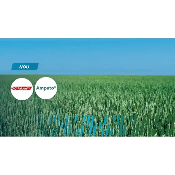 Pachet tehnologic T1 Plus, Bayer, pentru culturile de grau, orz si orzoaica Expediere rapidă
