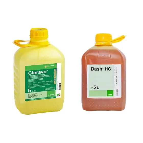Pachet Cleravo 2x5 l+Dash 2x5 l Cumpără acum