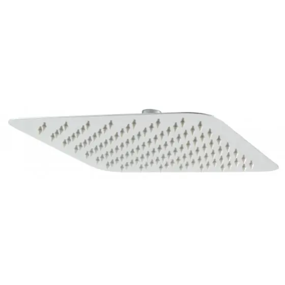 Ofertă exclusivă Cap Dus Fix 250X250Mm, Ferro