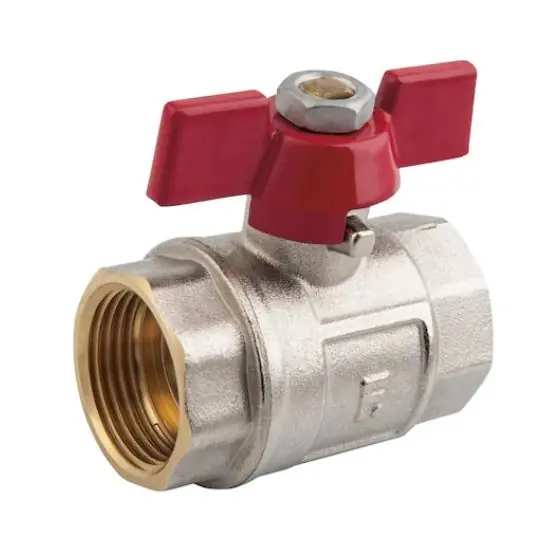 Robinet Bila 1" Fluture Pn25, Ferro Ofertă limitată