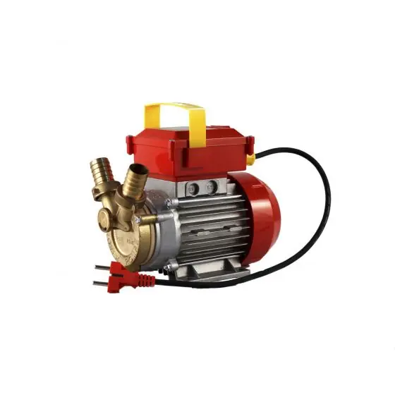 Comandă acum Pompa electrica Rover 25 By-Pass, pentru transvazare vin, 2500 l/h