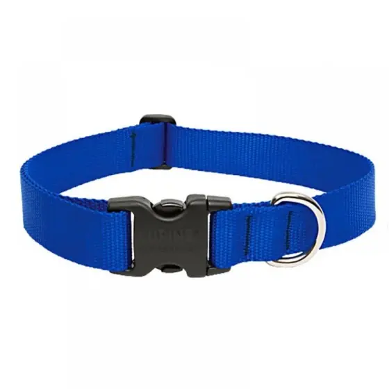Zgarda Nylon Pentru Caini Blue Click 20Mm*35-55Cm Ultima șansă