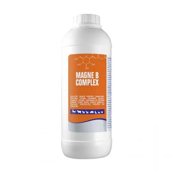 Cumpără acum Solutie orala cu vitamine Magne B Complex, 5 l