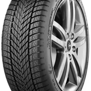Anvelope Iarna Dunlop WINTER 205/55 R17 95V XL Reduceri