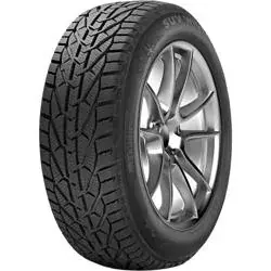 Premium TAURUS Winter 205/55 R16 91H