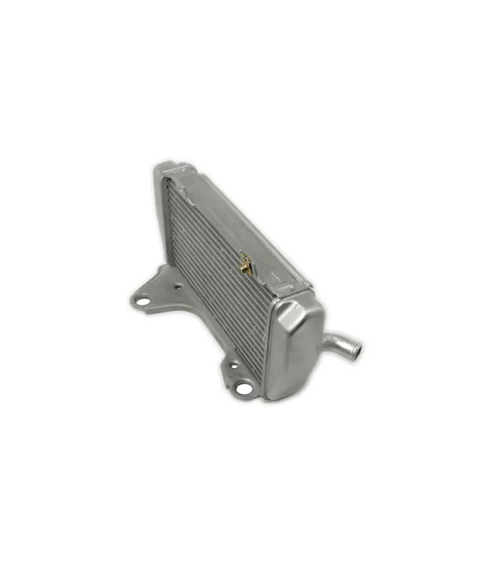 Radiator OEM nefinisat Preferatul clienților