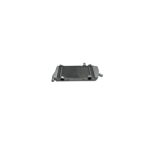 Radiator OEM nefinisat Discount