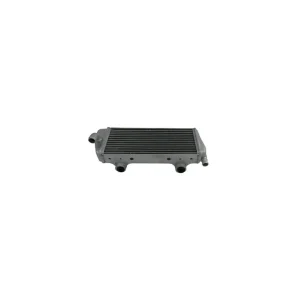 Radiator OEM nefinisat Preț promoțional