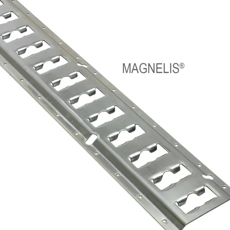Disponibil imediat Șină de asigurare a încărcăturii L 2964 mm din oțel cu strat de acoperire MAGNELIS®