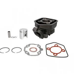 Set motor Peugeot Speedfight (5colturi) LC-2T 50cc, 40mm WST Ofertă exclusivă