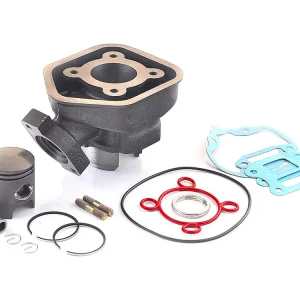 Ofertă de sezon Set motor Peugeot Speedfight (5colturi) LC-2T 50cc, 40mm